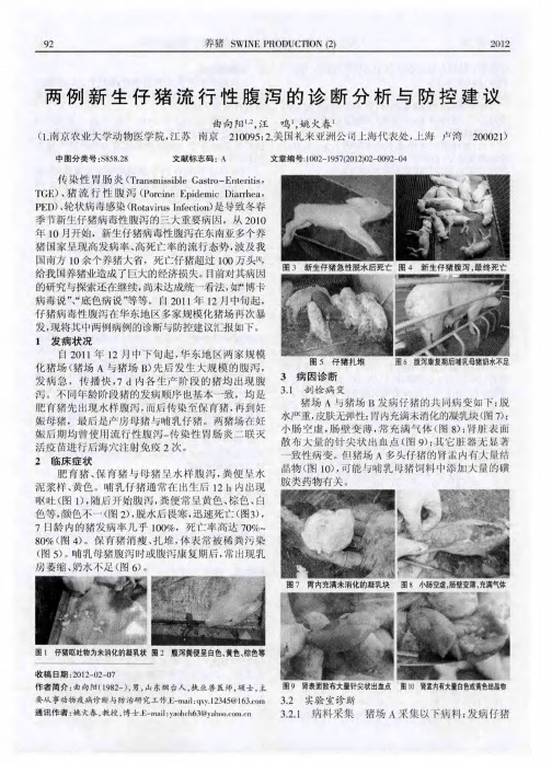 两例新生仔猪流行性腹泻的诊断分析与防控建议