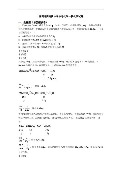 深圳龙岗龙岗中学中考化学一模化学试卷