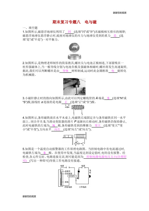 九年级物理全册期末复习专题八电与磁练习新版新人教版.doc