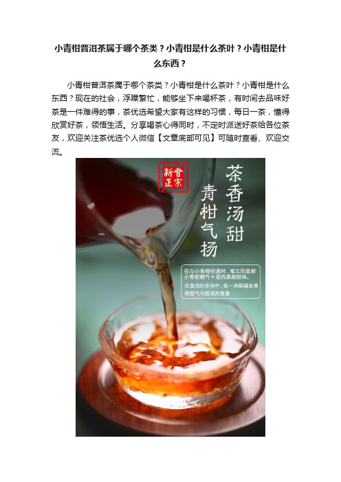 小青柑普洱茶属于哪个茶类？小青柑是什么茶叶？小青柑是什么东西？