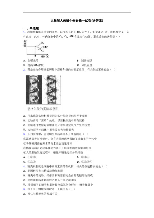 人教版人教版生物必修一试卷(含答案)