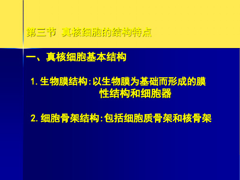 真核细胞的结构特点(“真核细胞”相关文档)共9张