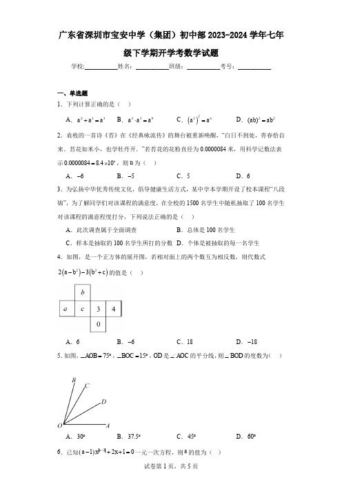 广东省深圳市宝安中学(集团)初中部2023-2024学年七年级下学期开学考数学试题