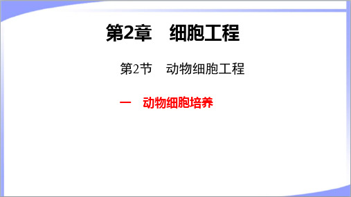 新教材人教版高中生物选择性必修3第2章第2节一动物细胞培养 教学课件