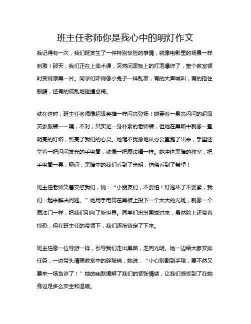 班主任老师你是我心中的明灯作文