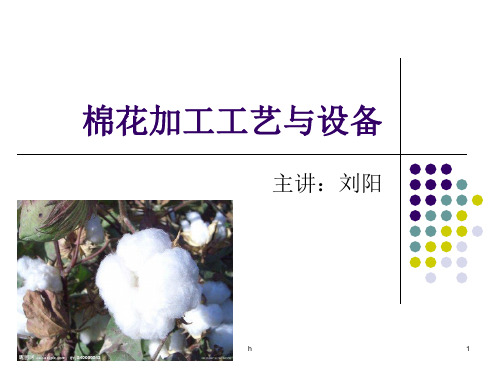 棉花加工工艺与设备