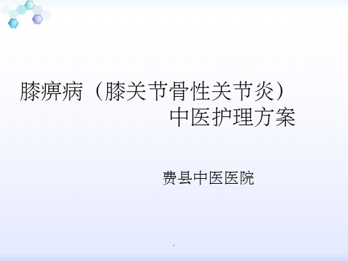 膝痹病(膝关节骨性关节炎)中医护理方案ppt课件