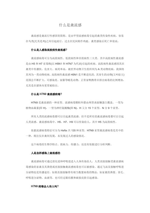 什么是禽流感