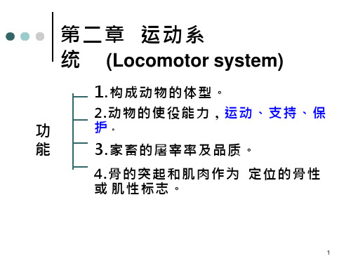 畜禽解剖学——运动系统