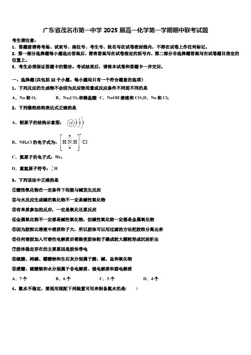 广东省茂名市第一中学2025届高一化学第一学期期中联考试题含解析