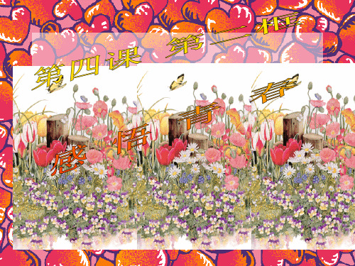 感悟青春PPT课件