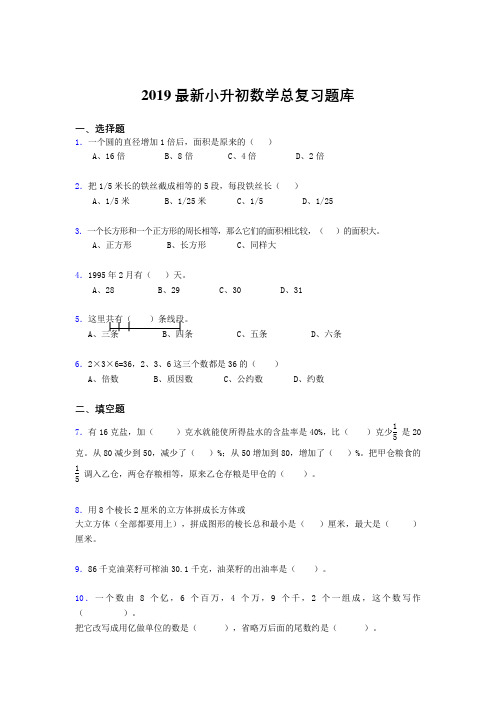 2019最新小升初数学总复习题库ast