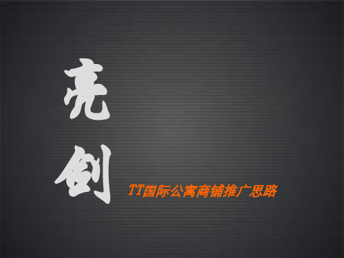 风火深圳TT公寓商铺推广思路