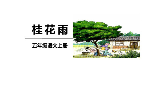 统编版五年级语文上册3《桂花雨》课件(共36张PPT)