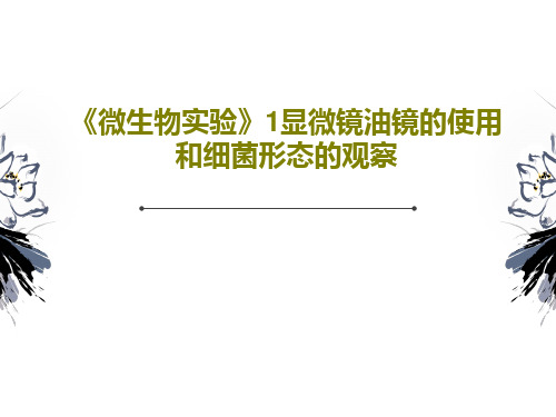 《微生物实验》1显微镜油镜的使用和细菌形态的观察共20页文档