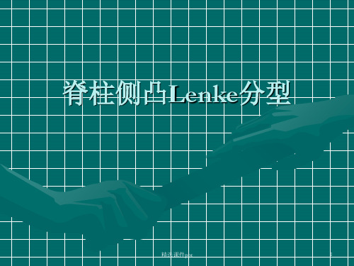 Lenke分型