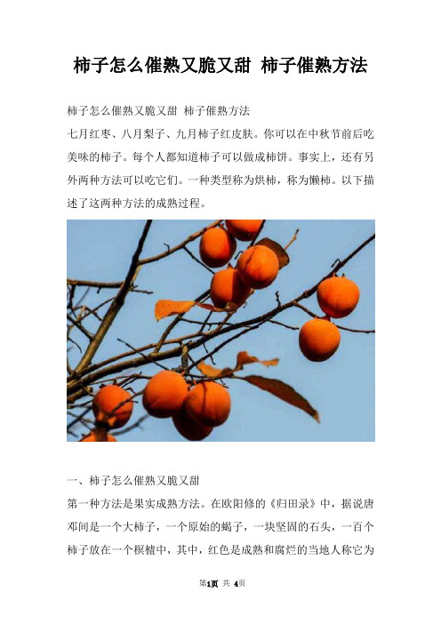 柿子怎么催熟又脆又甜 柿子催熟方法