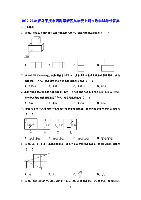 2019-2020学年青岛市平度市西海岸新区九年级上期末数学试卷