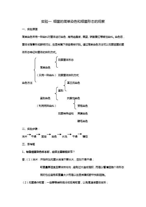 微生物实验思考题(南京工业大学生物和制药工程学院)