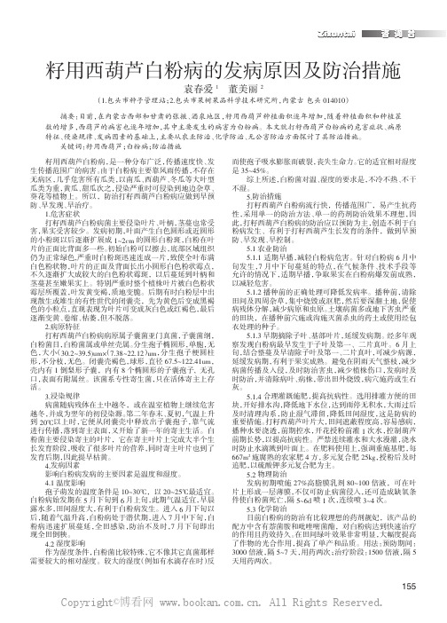 籽用西葫芦白粉病的发生原因及防治措施