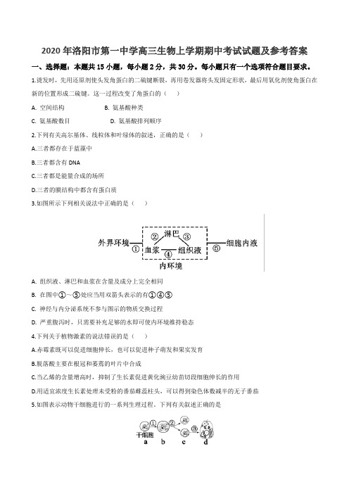 2020年洛阳市第一中学高三生物上学期期中考试试题及参考答案