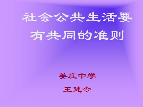 社会公共生活要有共同的准则共21页