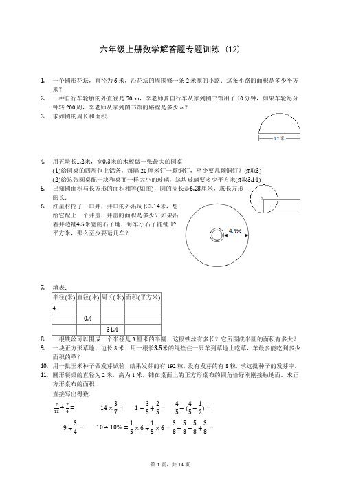 人教版六年级上册数学解答题专题训练 (12)(含答案解析)