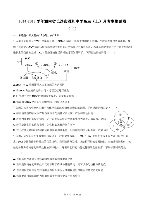 2024-2025学年湖南省长沙市雅礼中学高三(上)月考生物学试卷(二)(含答案)