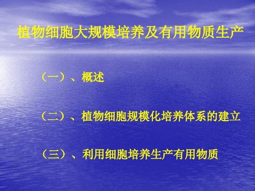 植物细胞大规模培养及有用物质生产.pptx