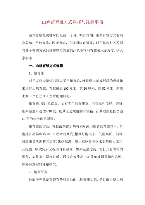 山鸡苗育雏方式选择与注意事项