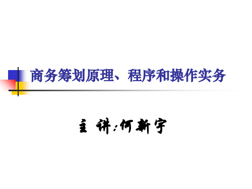 商务策划的原理、程序和操作实务