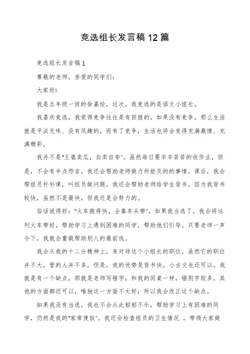 竞选组长发言稿12篇