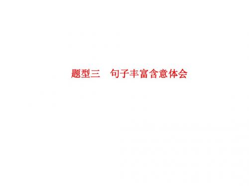 湖南省新田县第一中学2016届高三语文一轮复习第一节 散文阅读 专题三 题型三 句子丰富含意体会.ppt