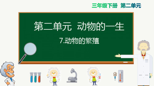 教科版小学科学三年级下册《动物的繁殖》名师教学课件