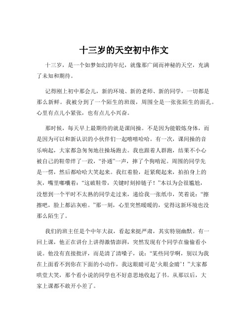 十三岁的天空初中作文
