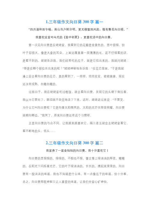 观察植物向日葵的三年级作文不少于三百字