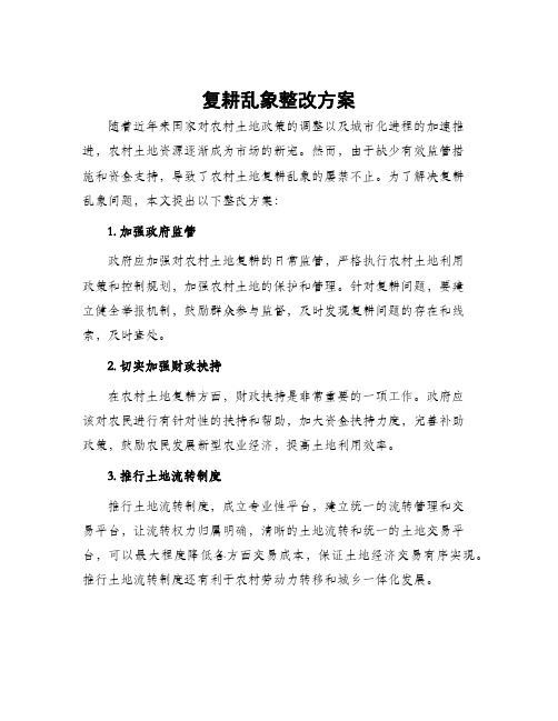 复耕乱象整改方案