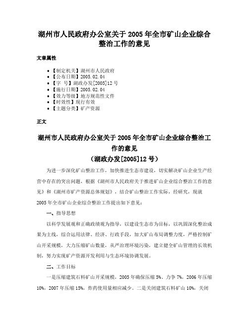 湖州市人民政府办公室关于2005年全市矿山企业综合整治工作的意见