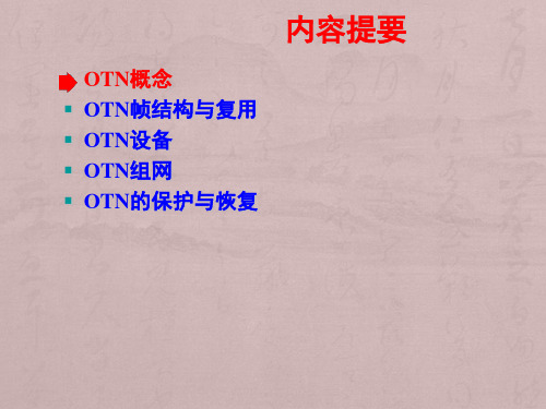 OTN设备组网与应用方法