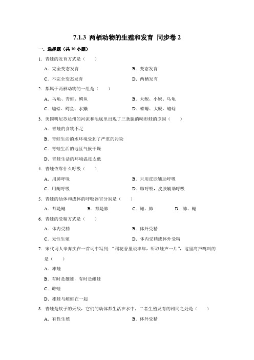 人教版生物八年级下册两栖动物的生殖和发育