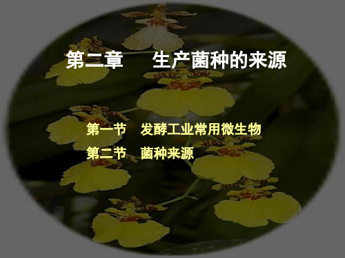 生产菌种的来源