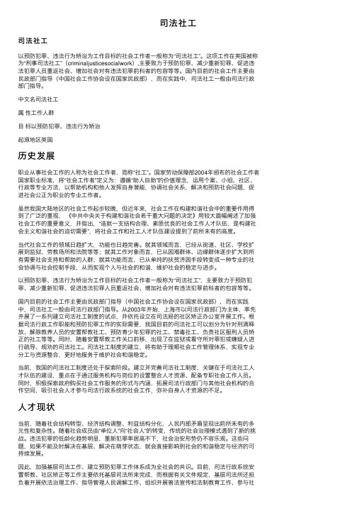 司法社工——精选推荐