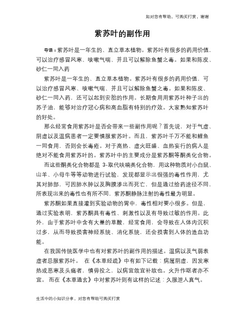 紫苏叶的副作用