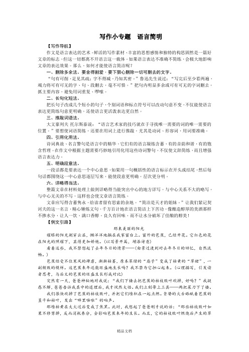 统编版七年级语文下册：写作小专题 语言简明测试题(含答案) (2).doc