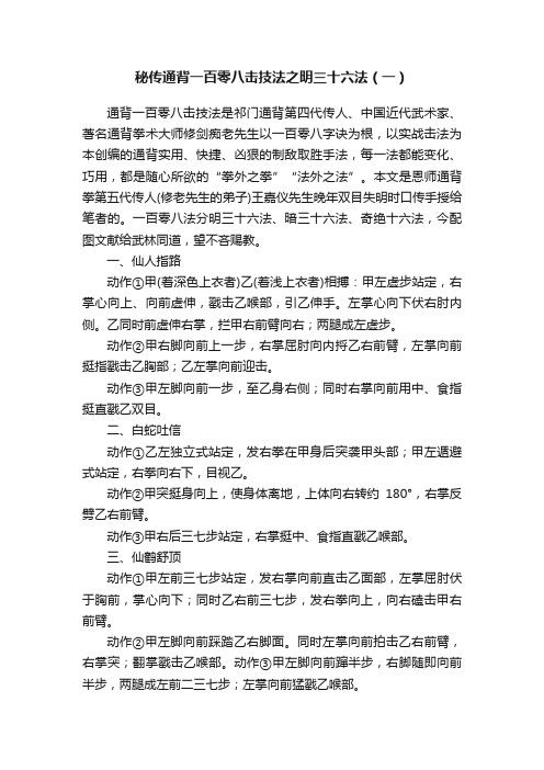 秘传通背一百零八击技法之明三十六法（一）