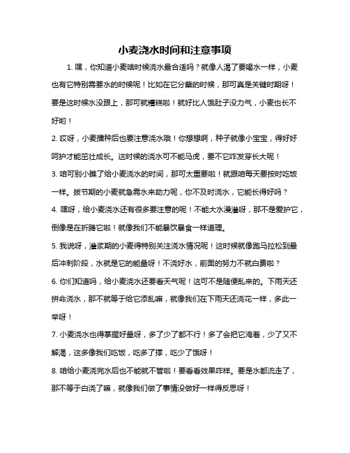 小麦浇水时间和注意事项