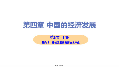 新人教版八年级上册初中地理 第3节 第2课时 蓬勃发展的高新技术产业 教学课件