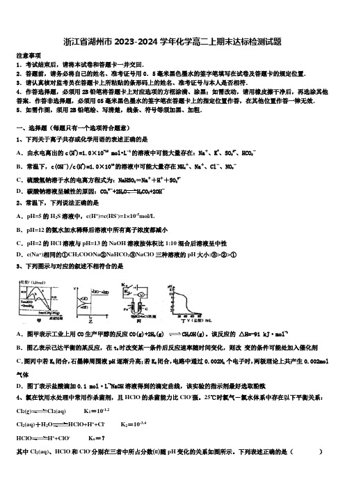 浙江省湖州市2023-2024学年化学高二上期末达标检测试题含解析