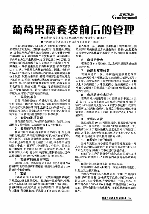 葡萄果穗套袋前后的管理