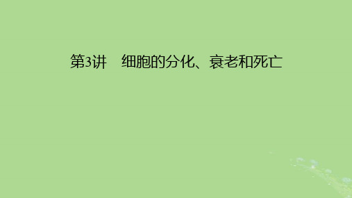 2025版高考生物必修1第4单元细胞的生命历程第3讲细胞的分化衰老和死亡